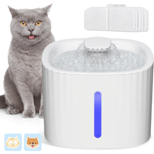 Fontaine à eau pour chats